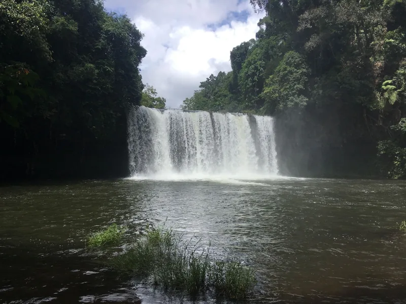 A wide curtain waterfall cascades into a calm pool surrounded by dense jungle on the Bolaven Plateau, Laos.
