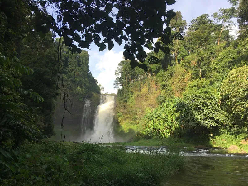 A powerful waterfall cascades into a green pool surrounded by dense jungle on the Bolaven Plateau, Laos.