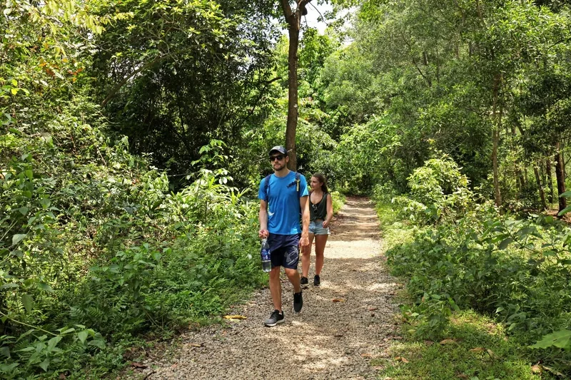 Two hikers walk along a gravel forest trail surrounded by dense green vegetation in Cat Ba National Park.