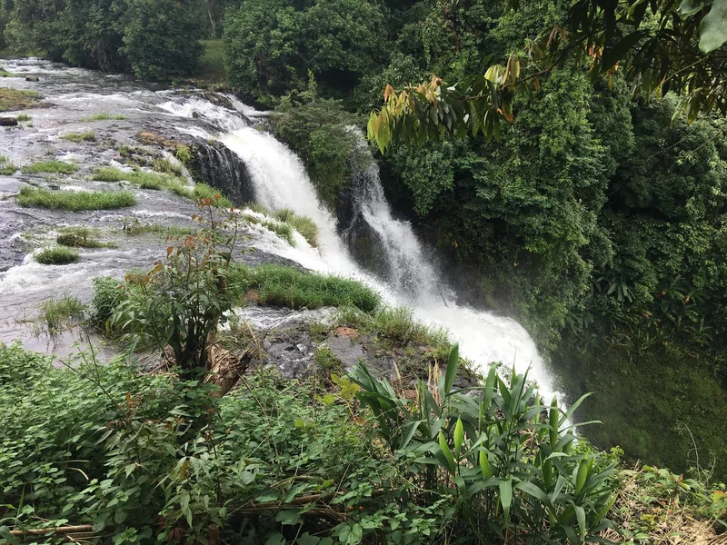 A wide waterfall cascades over rocks into a pool surrounded by lush jungle on the Bolaven Plateau.