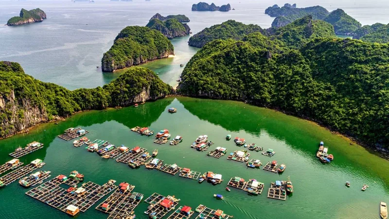 Aerial view of a floating fishing village amid limestone karsts in Lan Ha Bay