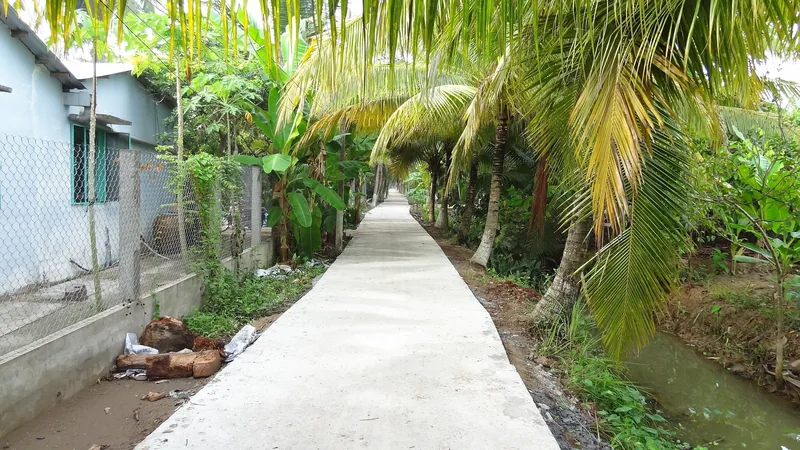 A concrete path lined with coconut palms runs beside a canal in the Mekong Delta countryside.