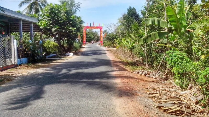 A quiet rural road lined with palm trees and a decorated village gate in the Mekong Delta countryside.